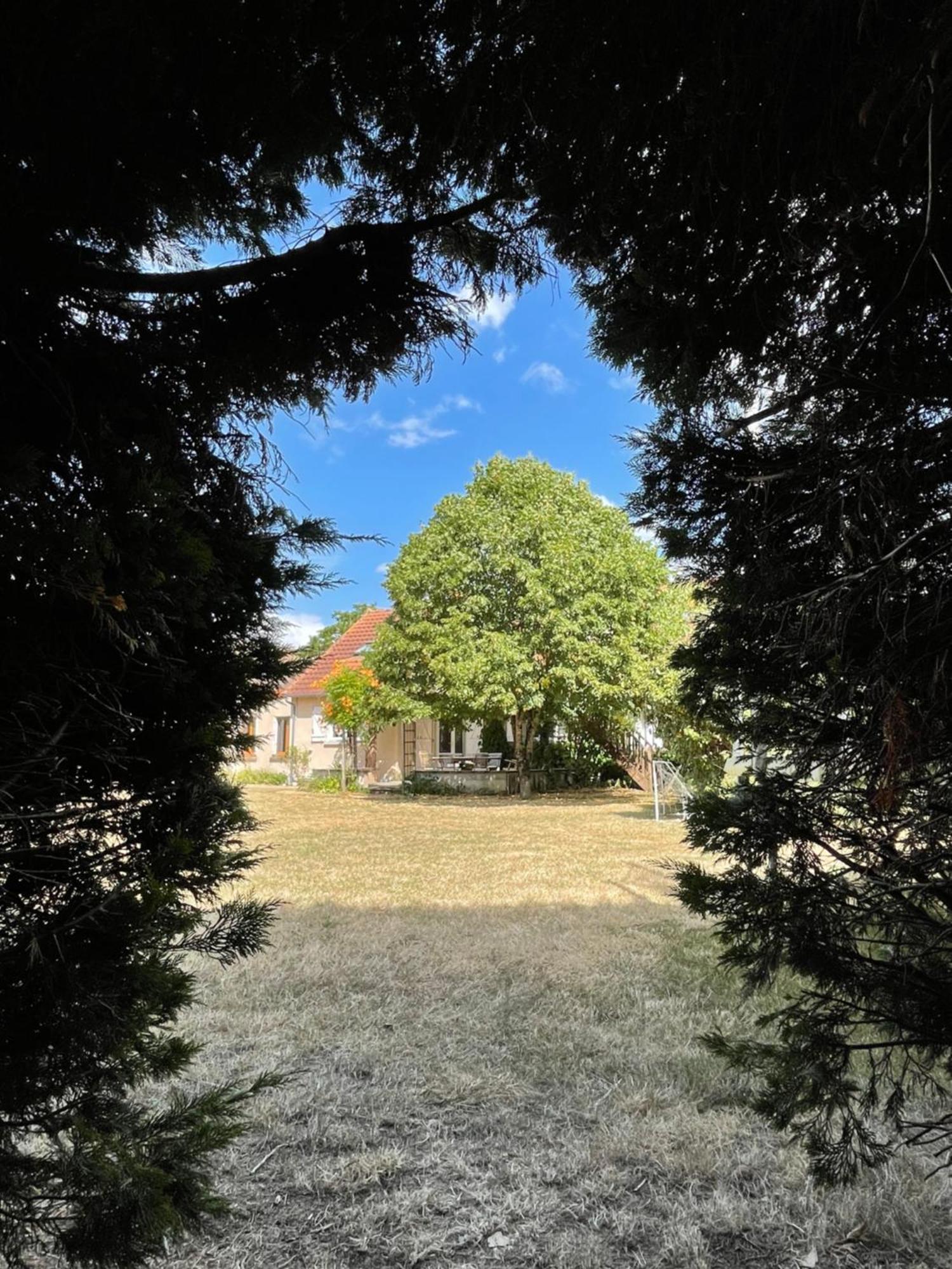Le Clos Des Trois Provinces, Zoo De Beauval 谢尔河畔努瓦耶 外观 照片